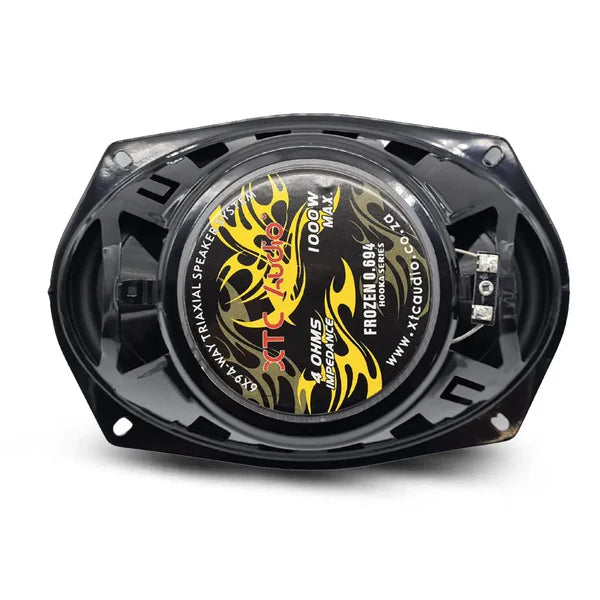 XTC F0694 1000W 6x9