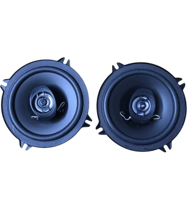XTC H5.0 5" 300w speaker