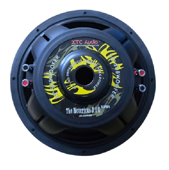 XTC The Notorious B.I.G 12" 10-000W DVC